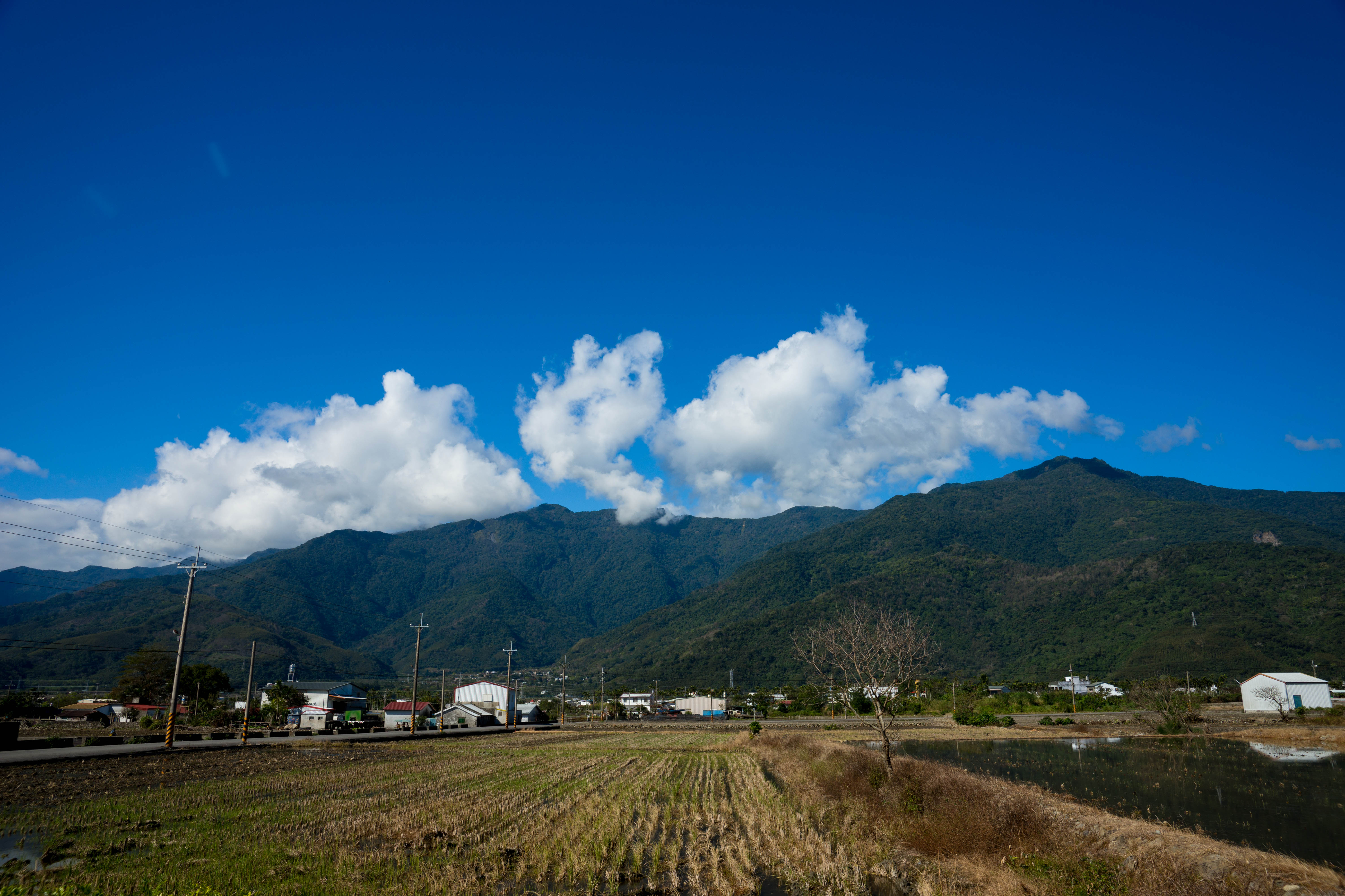 台牧場外的自然風土景色，展現周邊山林與農村環境的清晨光線。