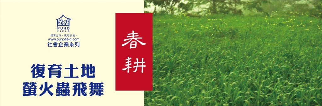 春夜裡,樸活 Puhofield 田野邊草叢間閃爍的螢火蟲光點。這些對環境敏感的發光昆蟲,是友善農法與純淨水源最直接的生態指標。